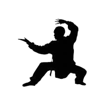 Classical Kung Fu low stance demonstration
