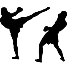 Chinese Kickboxing roundhouse kick demonstration